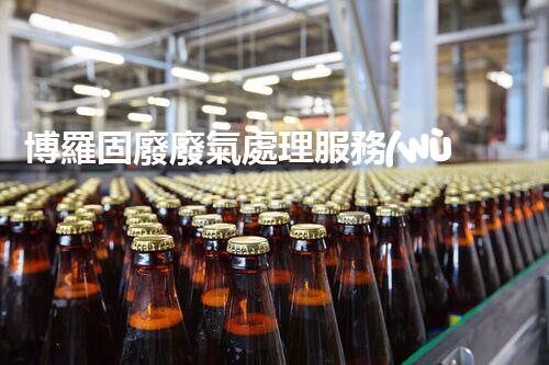 博羅固廢廢氣處理服務(wù)，靠譜又省心？快來(lái)了解！